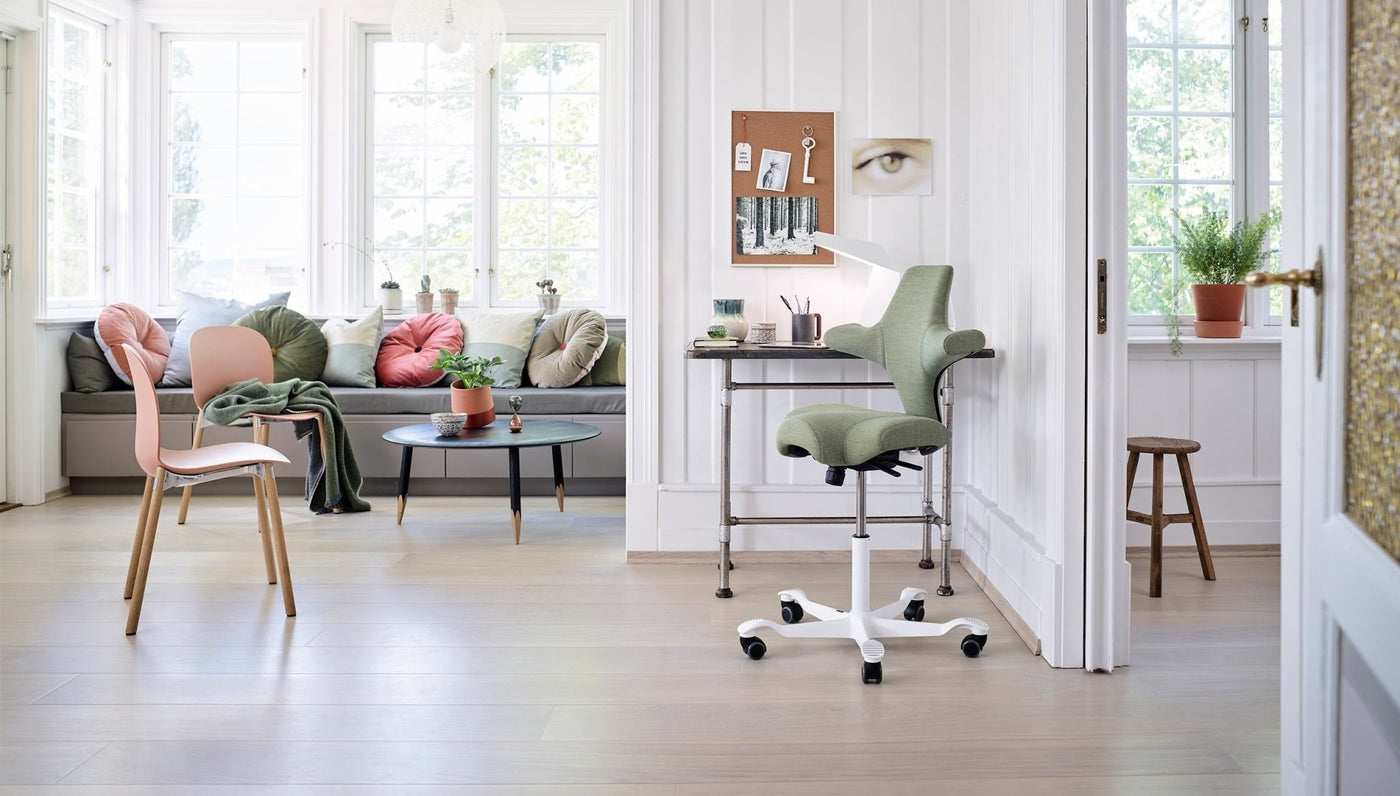 HÅG Ergonomic Office Chair Work From Home Office Buy in Singapore